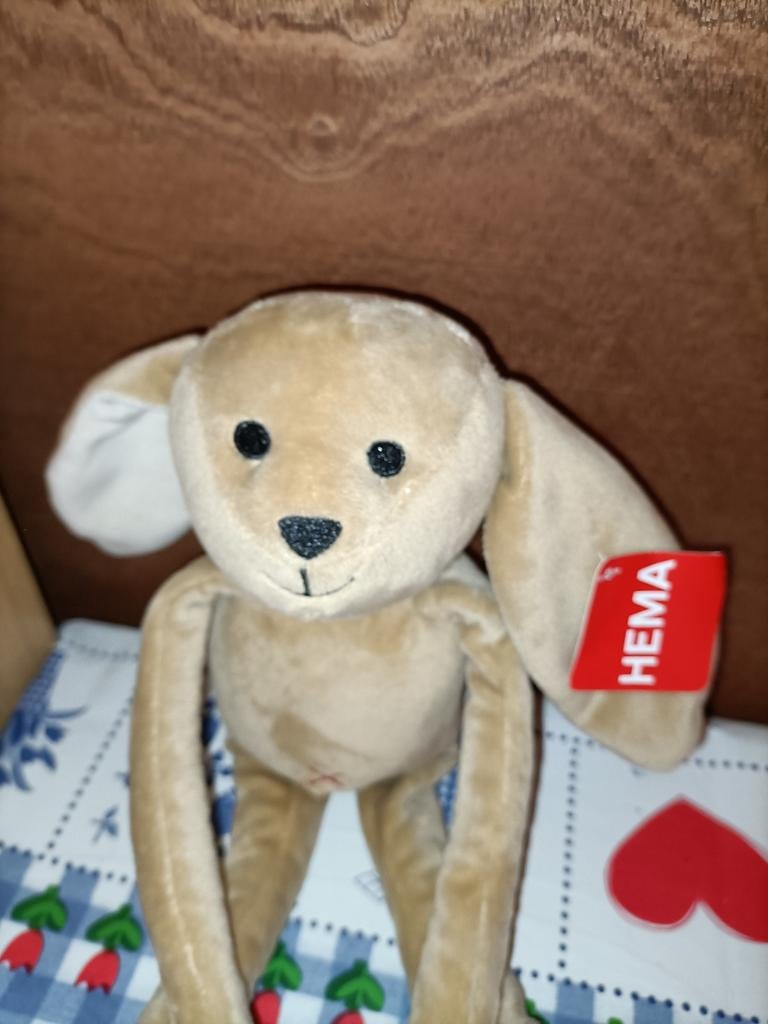 Hema konijn knuffel met magneten in handen met kaartje, Kinderen en Baby's, Speelgoed | Knuffels en Pluche, Ophalen of Verzenden