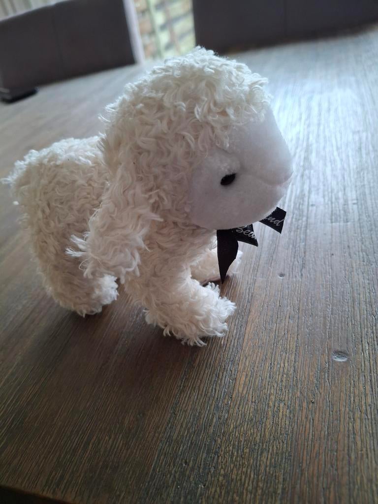 Schattig Kiwi & Friends Lammetje Knuffel, Kinderen en Baby's, Speelgoed | Knuffels en Pluche, Ophalen of Verzenden, Zo goed als nieuw