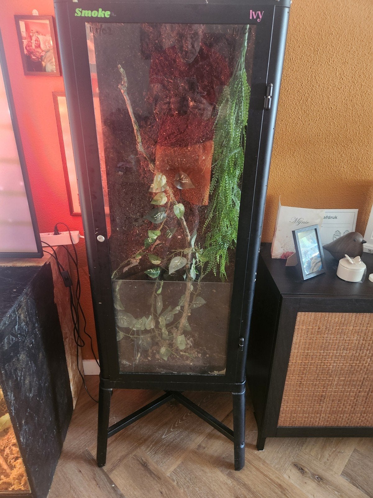 Te koop mooi terrarium, Ophalen, Zo goed als nieuw