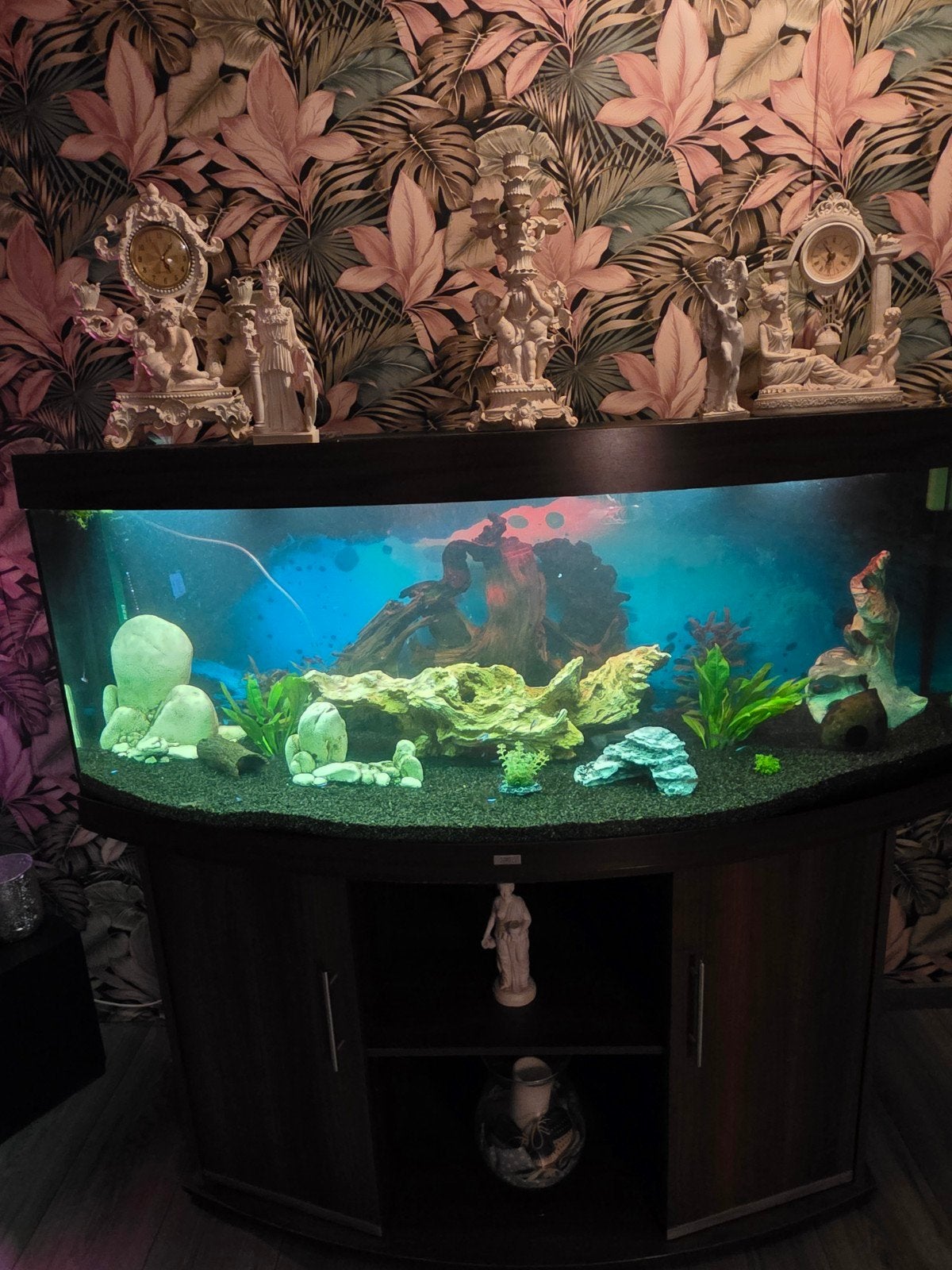 Juwel Vision 450, Dieren en Toebehoren, Vissen | Aquaria en Toebehoren, Ophalen, Inclusief vissen, Juwel, Gevuld zoetwateraquarium