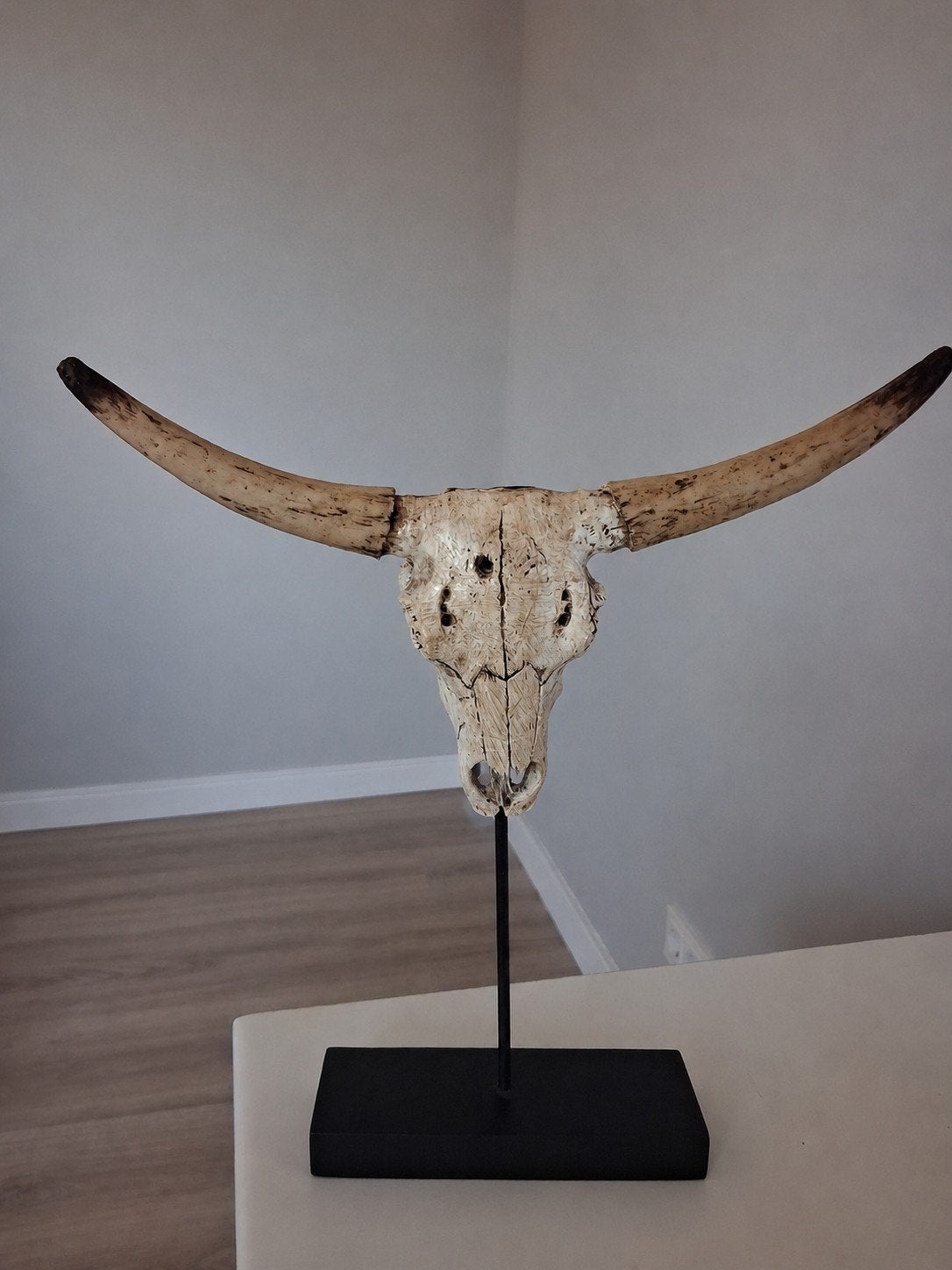 rundachtig schedel, Antiek en Kunst, Ophalen