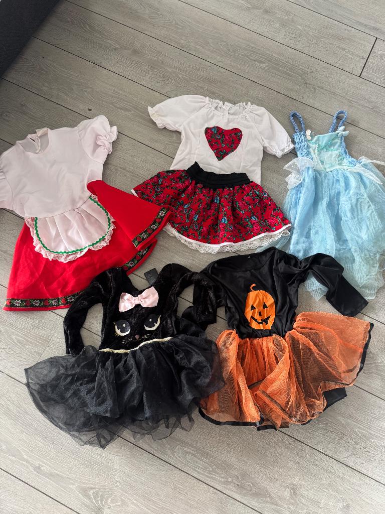 carnavalkleding, Ophalen, Gebruikt, 110 t/m 116, Meisje