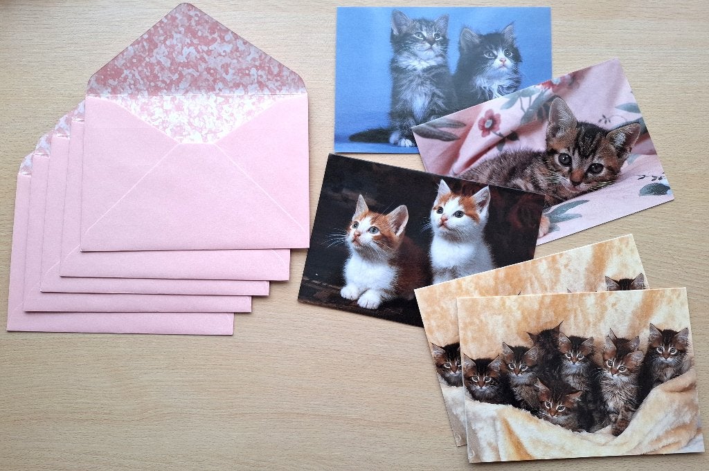 5 nieuwe kaarten met katten (met envelop), Verzamelen, Ophalen of Verzenden, Zo goed als nieuw