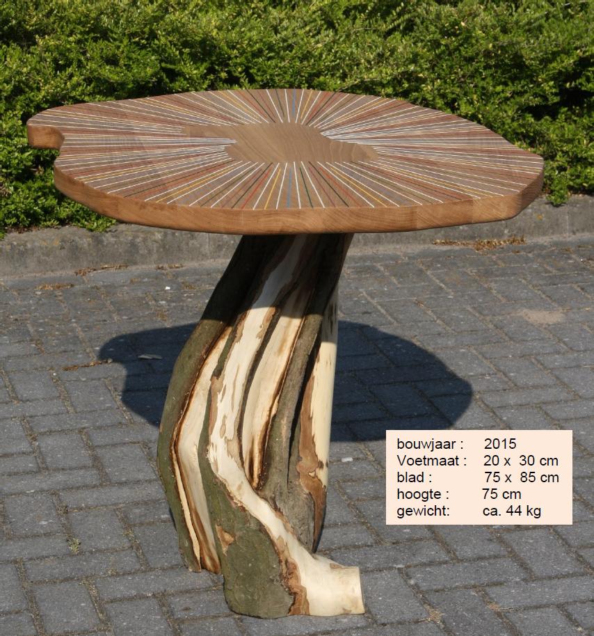 tafel, Ophalen, Nieuw, 75 cm of meer, Overige vormen