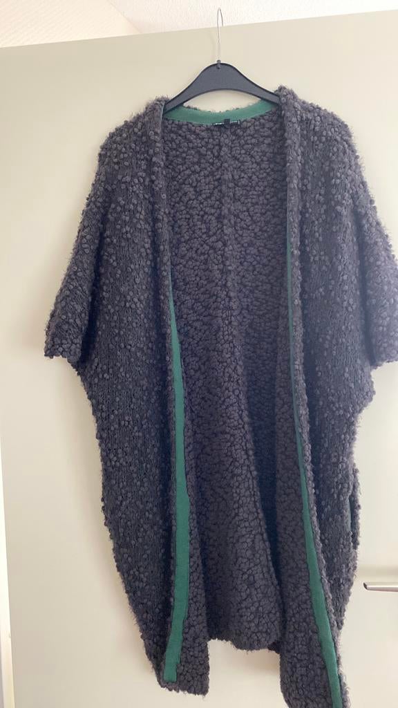 Didi vest maat M L, Kleding | Dames, Ophalen of Verzenden, Zo goed als nieuw, Maat 38/40 (M), Groen