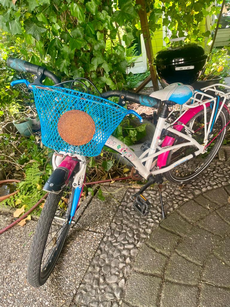 Loekie Foxy Lady kinderfiets 24 inch, Velgrem, Ophalen of Verzenden, Handrem, Gebruikt