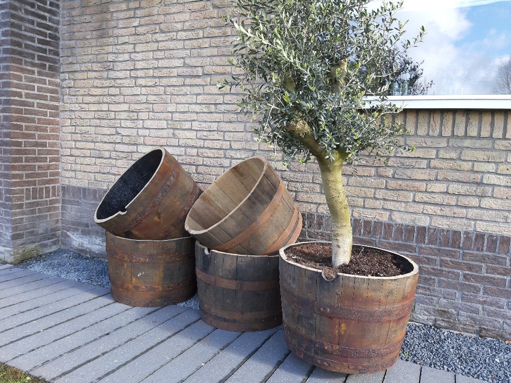 Eikenhouten Whiskeyvat Bloembak Plantenbak 100L, Ophalen, Rond, Nieuw, Balkon