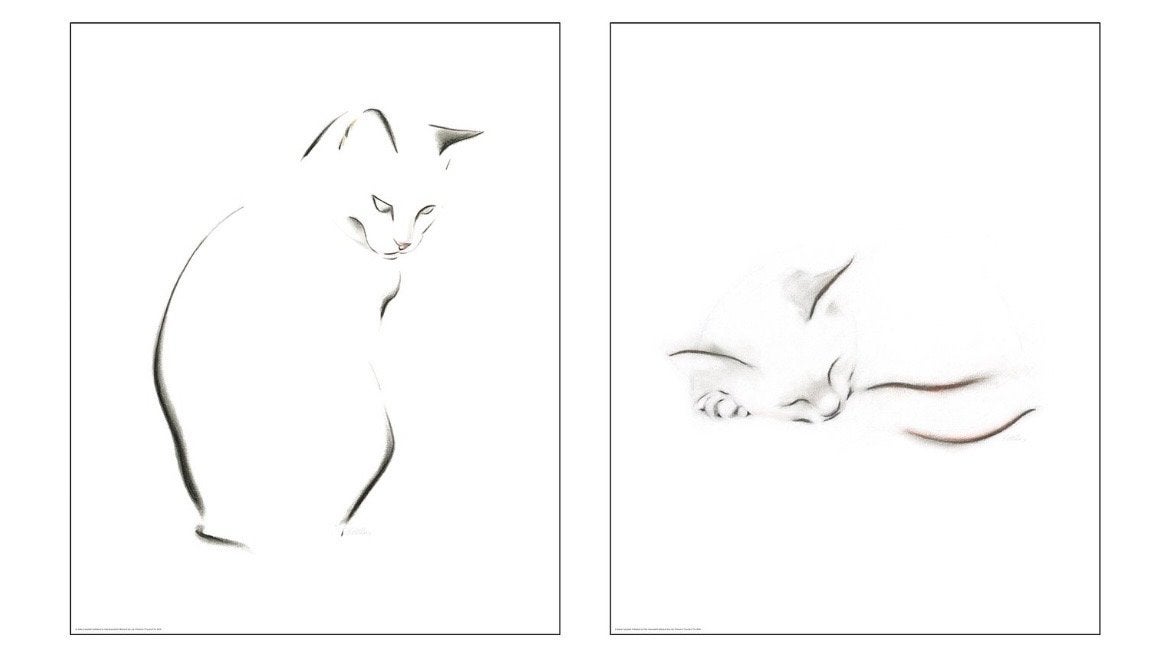Gezocht: Ikea Bild Kattenposters (set van 2), Ophalen, Foto of Poster