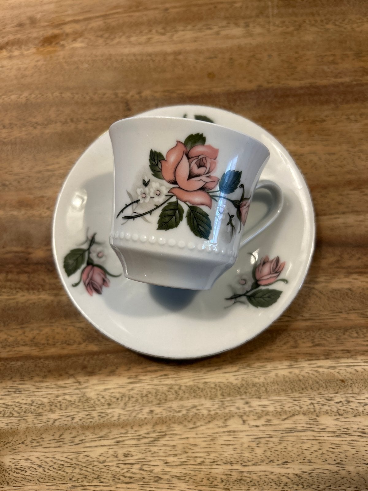 Vintage Mitterteich Bavaria  Kop en Schotel Roos, Ophalen