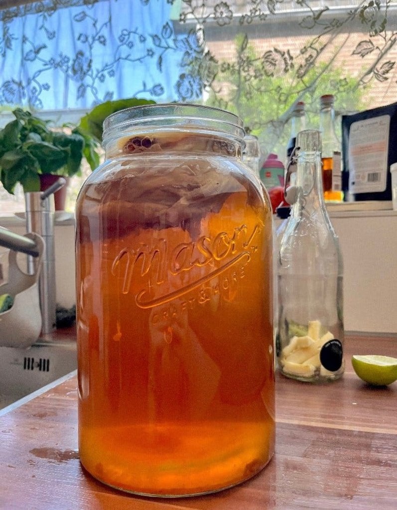Kombucha SCOBY "Erna' + 500 ml startervloeistof (biologisch), Diversen, Ophalen