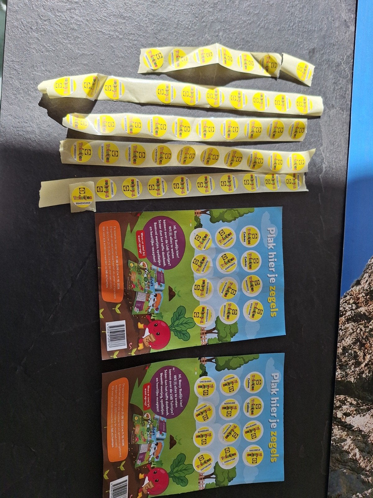 Gratis lidl tuintje 47 zegels + 2 volle kaarten, Verzamelen, Lidl, Ophalen of Verzenden