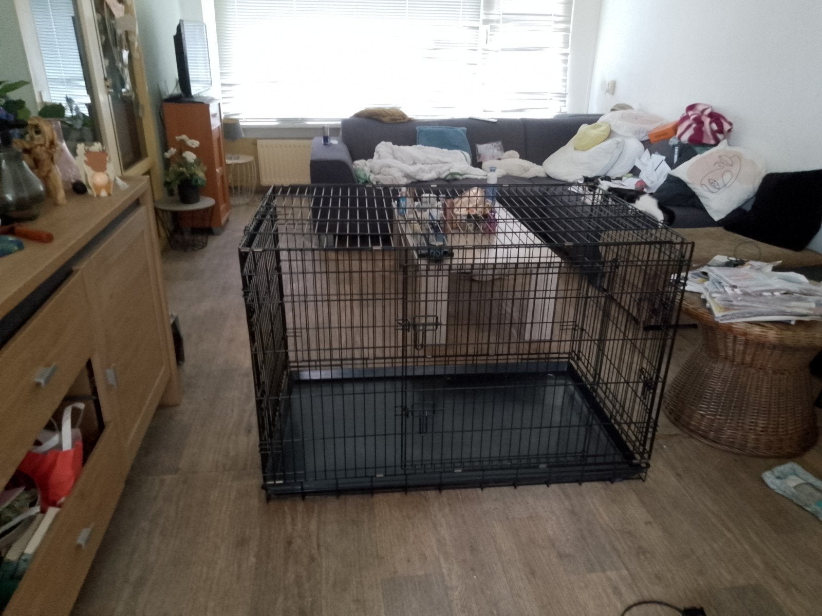 Zeer groot, voor grote hond.Kleur zwart, zo goed als nieuw., Dieren en Toebehoren, Ophalen