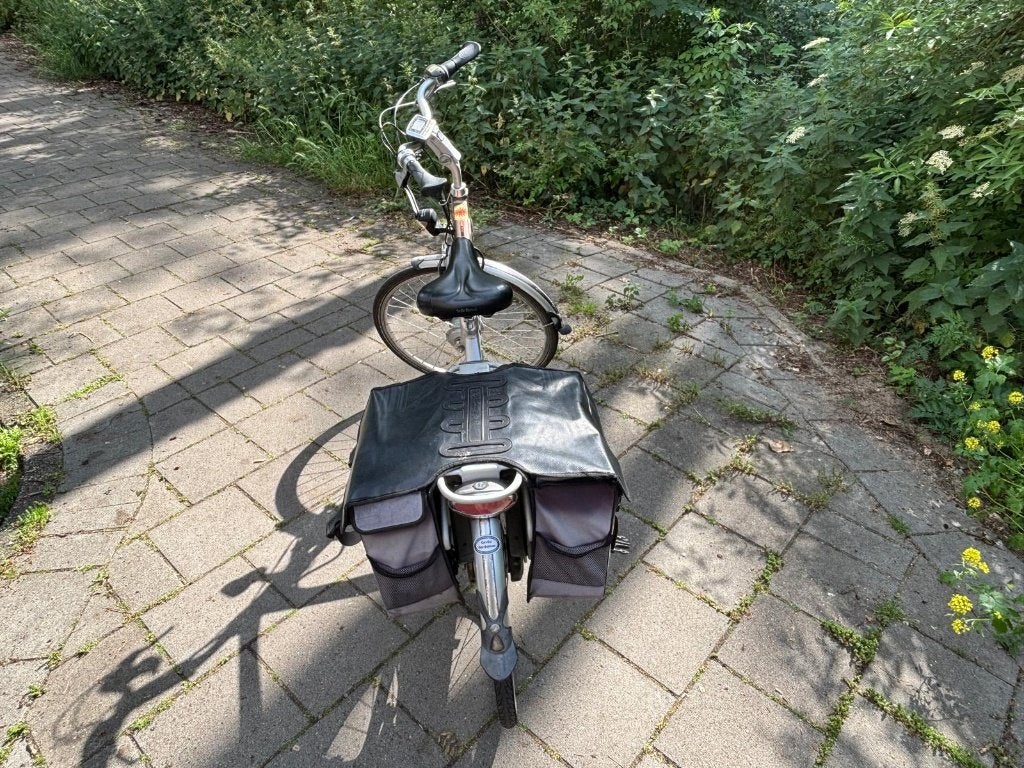 Giant Twist Go Double electric bike, Ophalen, Gebruikt, 50 km per accu of meer, Giant