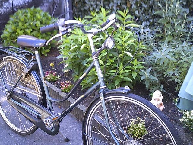 Damesfiets Gazelle Primeur, Ophalen, Gebruikt, Versnellingen, 50 tot 53 cm