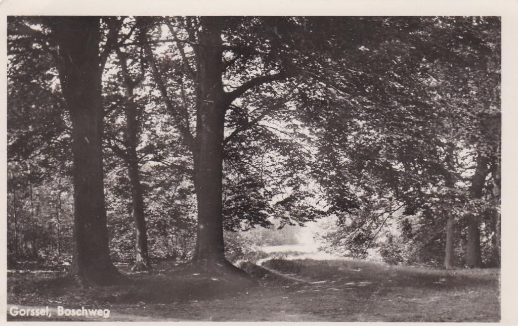 GA1688 Gorssel Boschweg Achterhoek Vorden Gelderland 1949, Verzenden, 1940 tot 1960, Gelopen, Gelderland