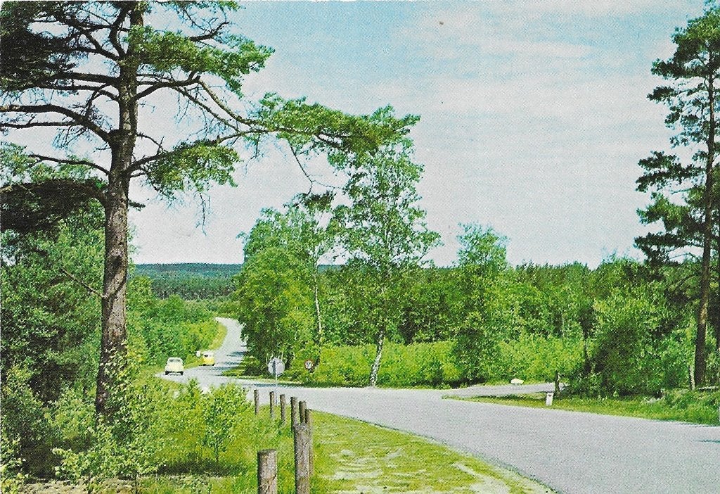 AK Elspeet - Groeten uit....., Verzenden, 1960 tot 1980, Ongelopen, Gelderland