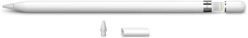 Apple Pencil (1e generatie), Computers en Software, 10 inch, N, N, Apple iPad