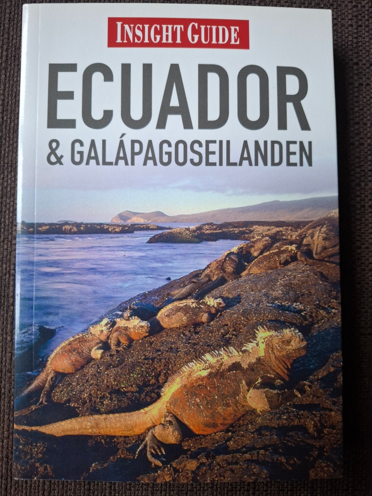 Insight Guide Ecuador & Galápagoseilanden Reisgids, Ophalen of Verzenden, Reisgids of -boek, Gelezen, Overige merken