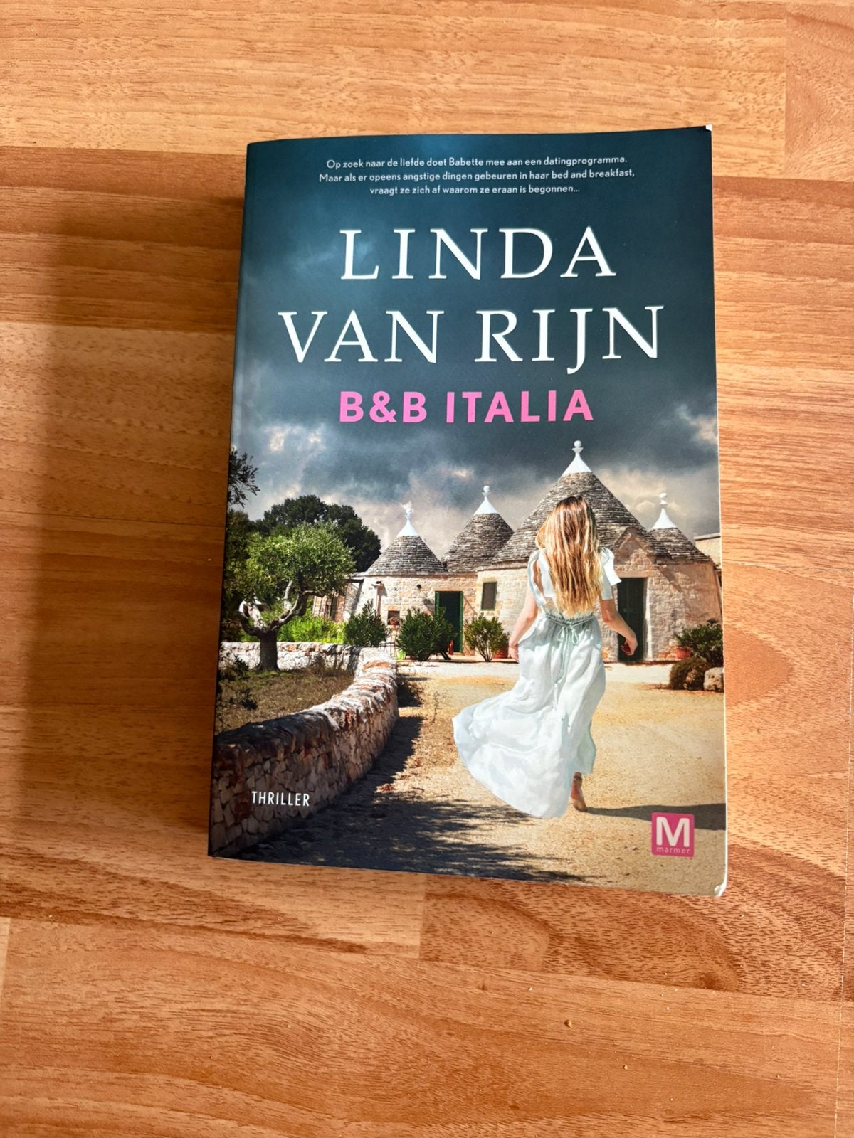 Linda van Rijn - B&B Italia, Ophalen of Verzenden, Zo goed als nieuw, Linda van Rijn