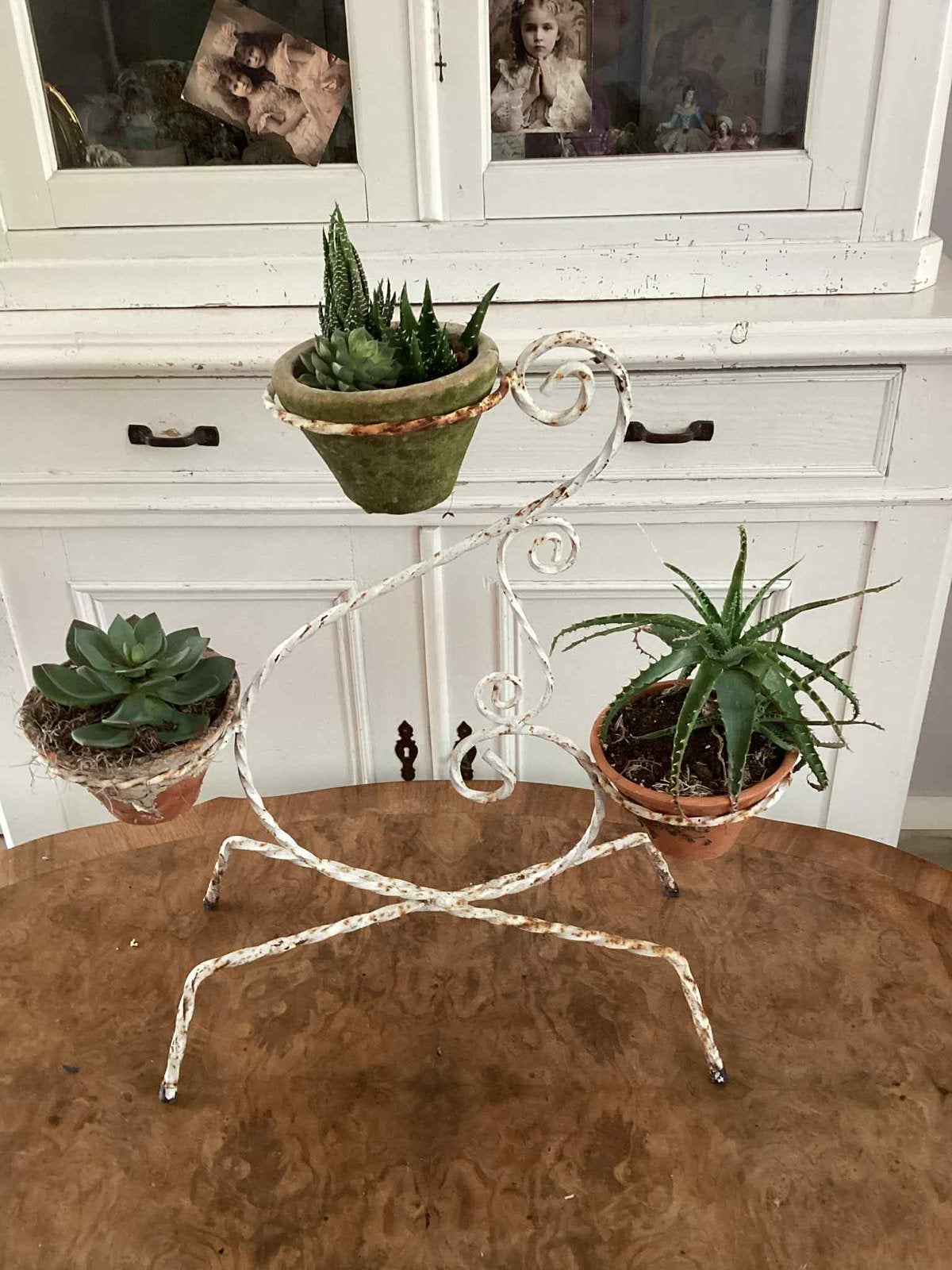 Antieke franse plantenrek met potjes en bloemen, Ophalen