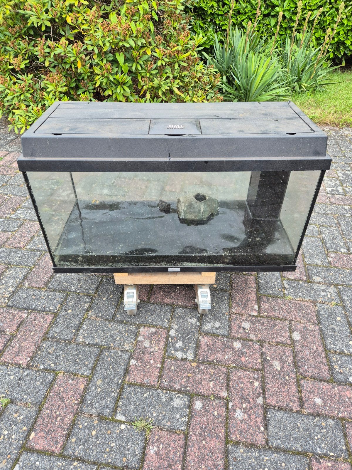 Juwel Aquarium 80 x 36 x 45 cm, Ophalen, Leeg aquarium