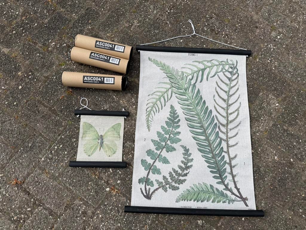 HK living botanische School charts Moth 3x en Ferns 1x, Ophalen of Verzenden, Natuur en Biologie
