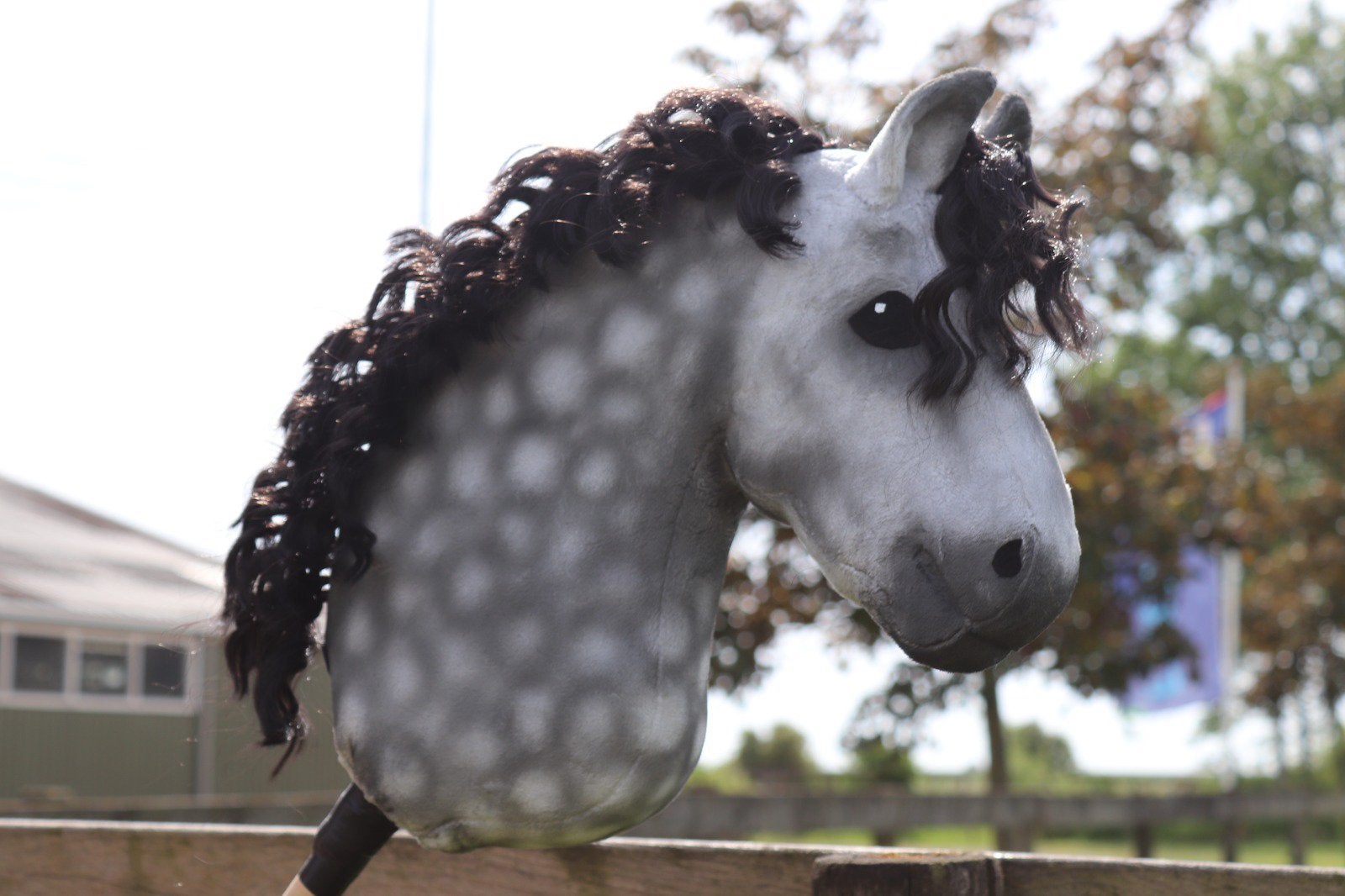 Professioneele hobbyhorse, Kinderen en Baby's, Ophalen of Verzenden, Nieuw