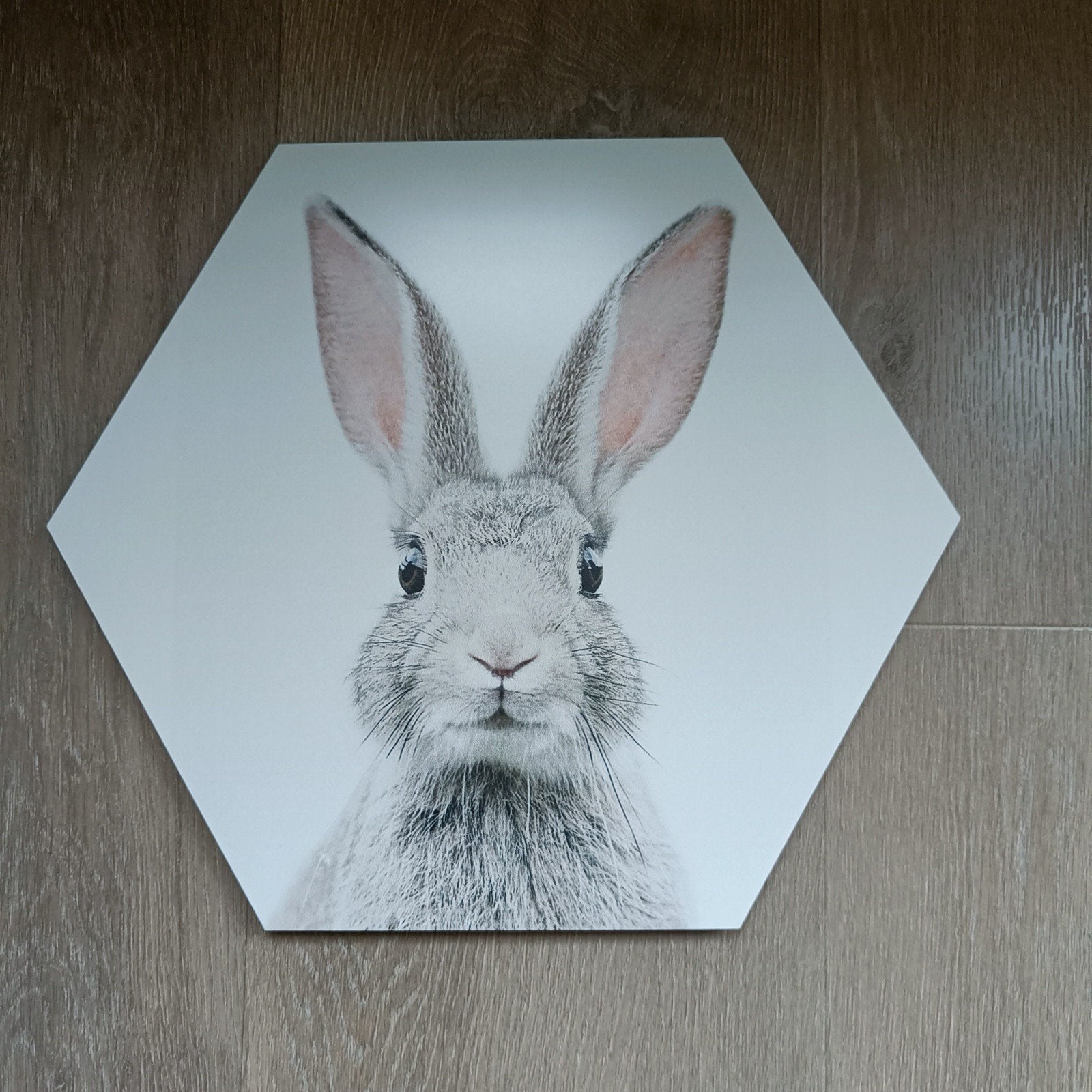 Alu dibond hexagon 35x30, Ophalen of Verzenden, Zo goed als nieuw