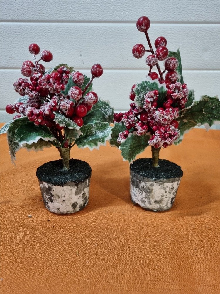 kerst decoratie planten hulst met bessen, Ophalen of Verzenden, 'T Olde Gre-j, Info@toldegrej.nl, Endepoelstraat 20f Didam