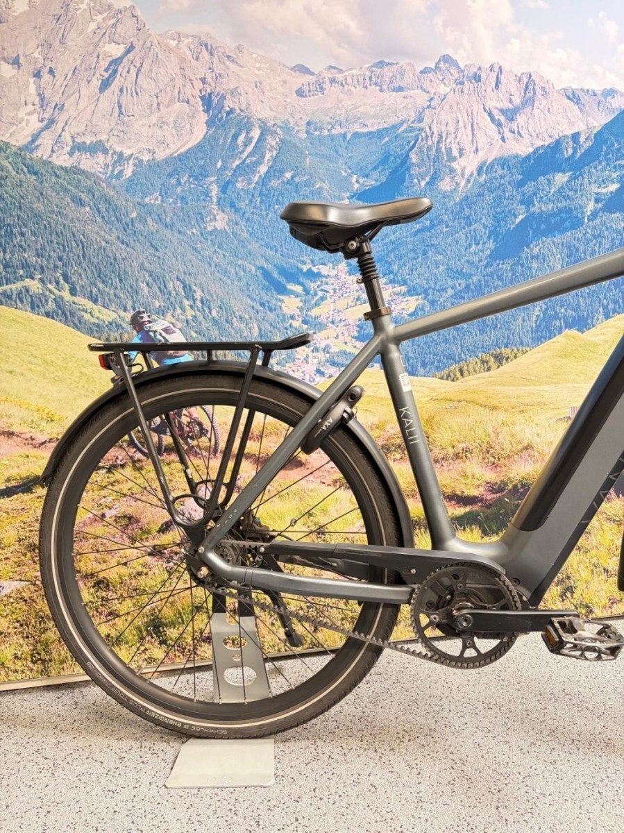 Van Dijck Kalii . 56cm, Gebruikt, -, -, -