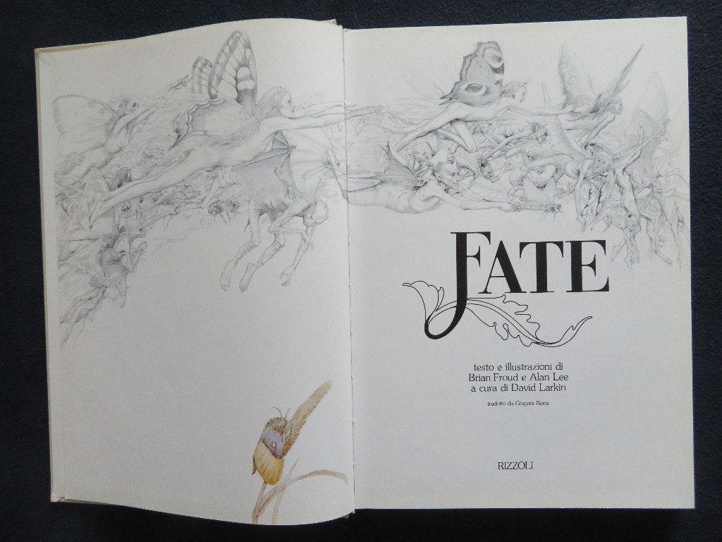 Fate - Brian Froud & Alan Lee (Italiaanse editie), Gelezen, Ophalen of Verzenden, Brian Froud & Alan Lee, Schilder- en Tekenkunst