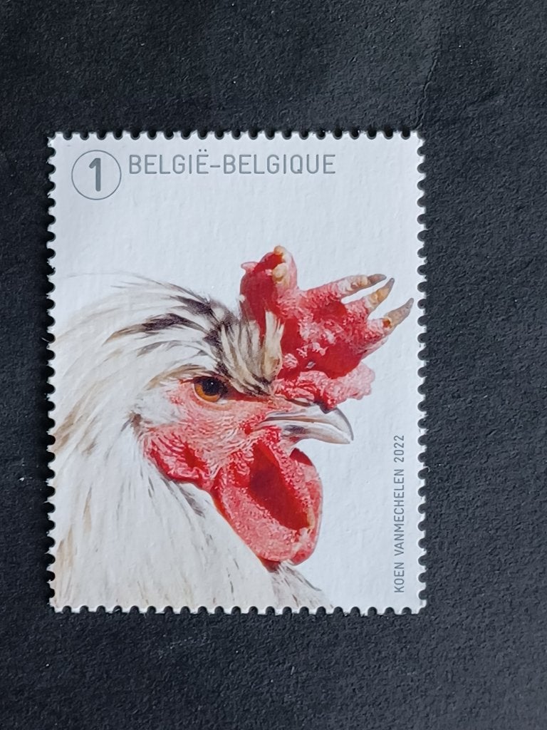 Postzegels Belgie, Postzegels en Munten, Ophalen of Verzenden, Zonder stempel, Postfris, Postfris