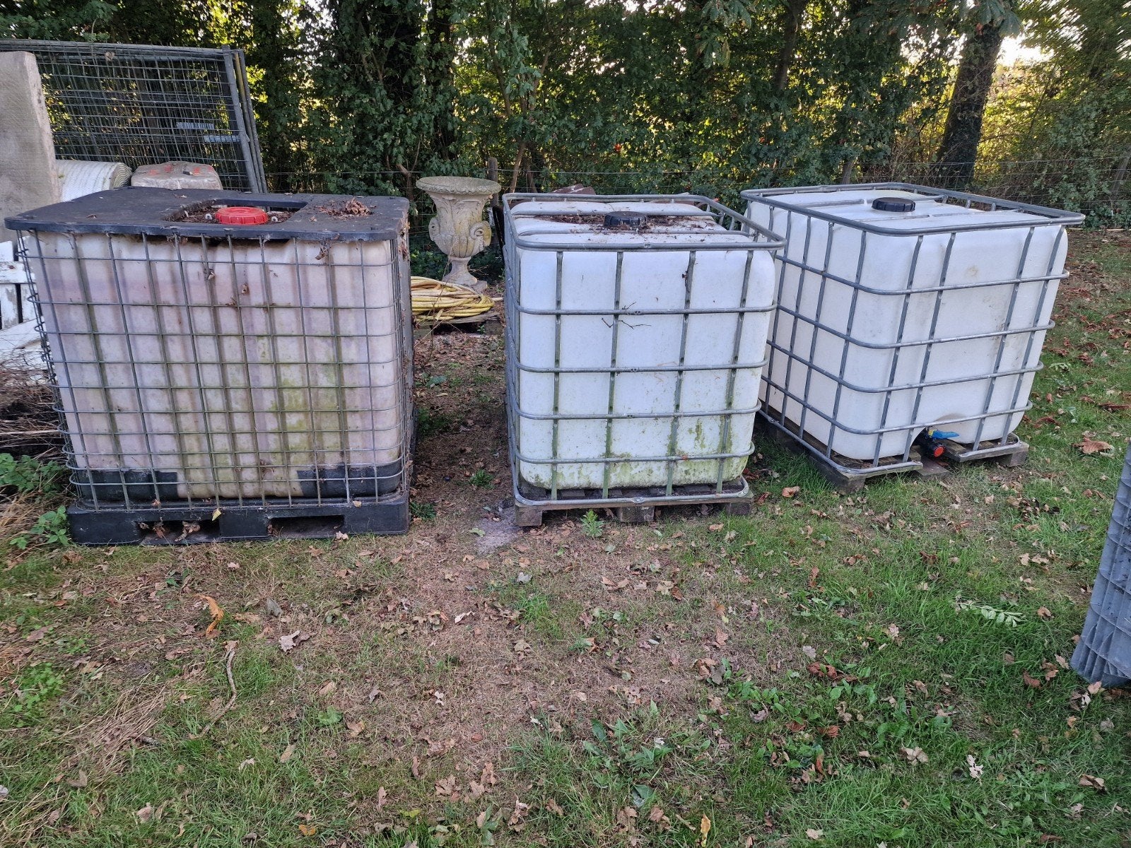 1 x IBC containers, Ophalen, Gebruikt, 100 cm of meer, 60 cm of meer