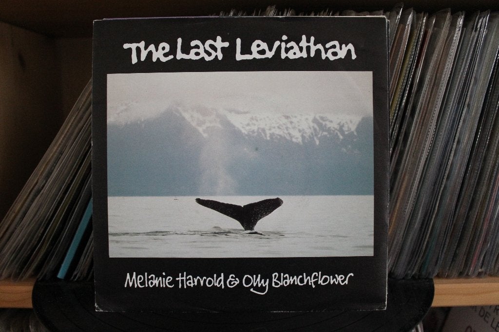 7" Single Melanie Harrold & Olly Blanchflower - The Last Lev, Gebruikt, 7 inch, Ophalen of Verzenden, Pop