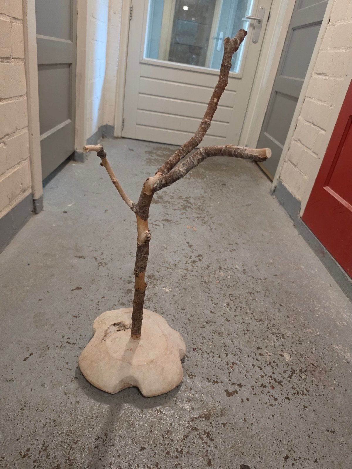 Voor parkiet en papegaaien, Ophalen of Verzenden