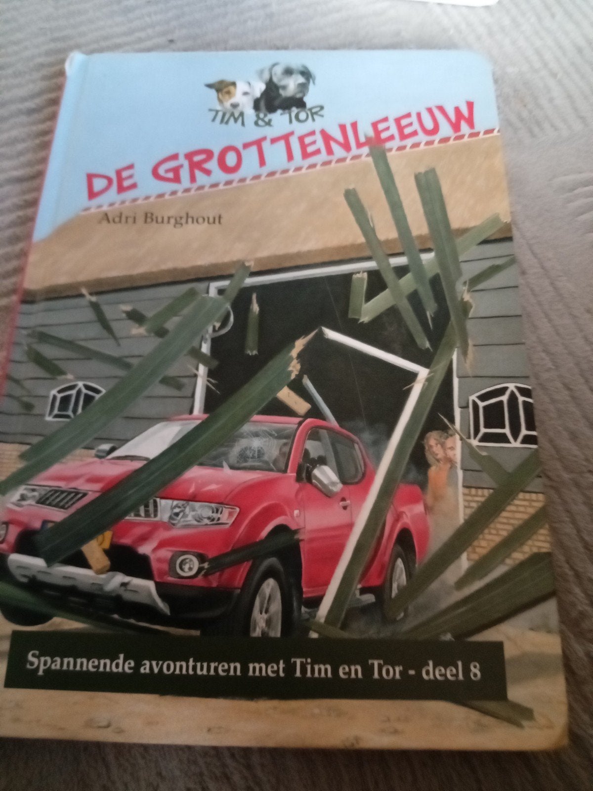 Tim & Tor: De Grottenleeuw - Spannend kinderboek, Boeken, Ophalen, Zo goed als nieuw, Adri Burghout, Fictie
