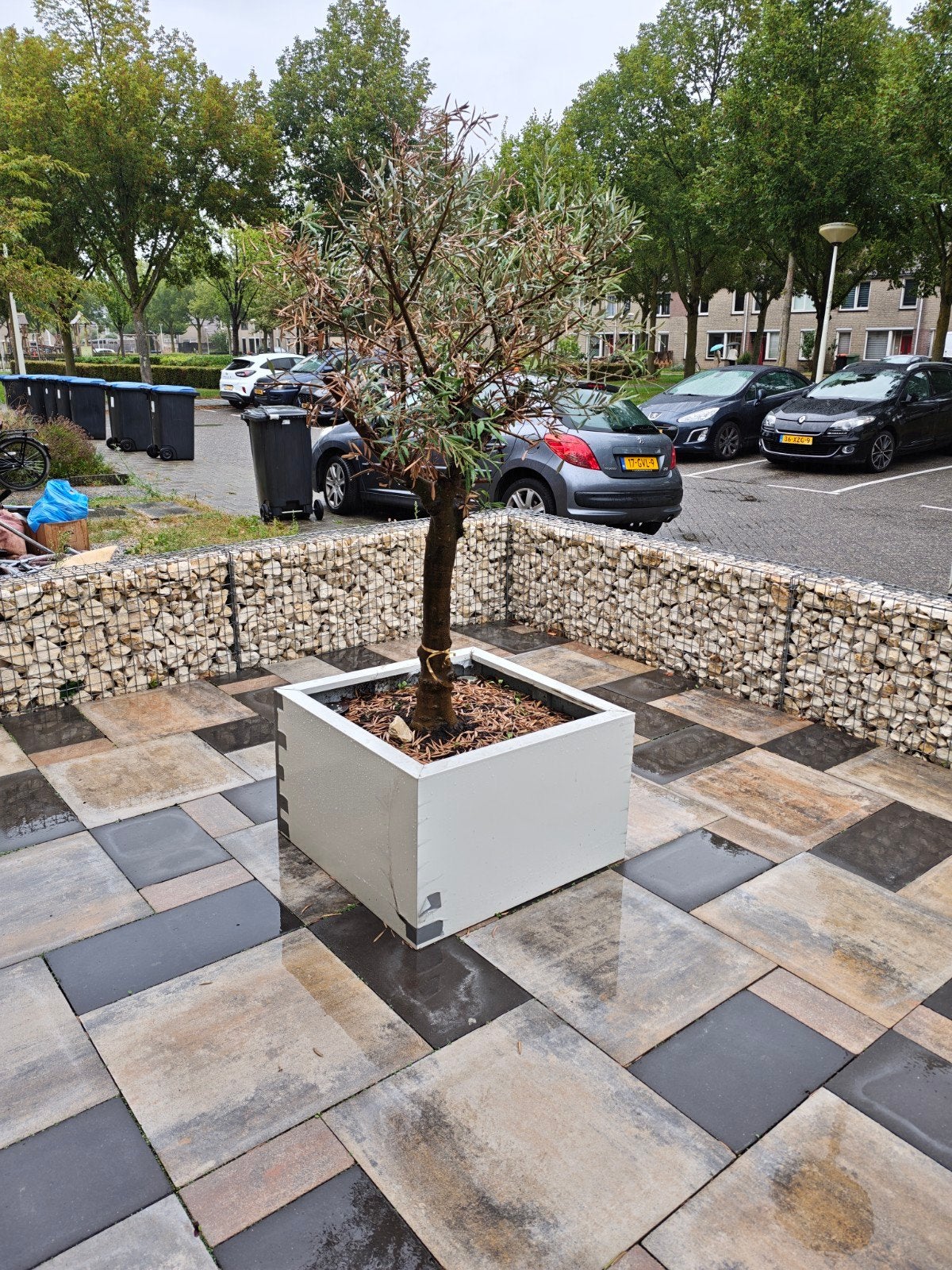 Olijfboom met plantenbak, Tuin en Terras, Ophalen, Rond, Kunststof, Tuin
