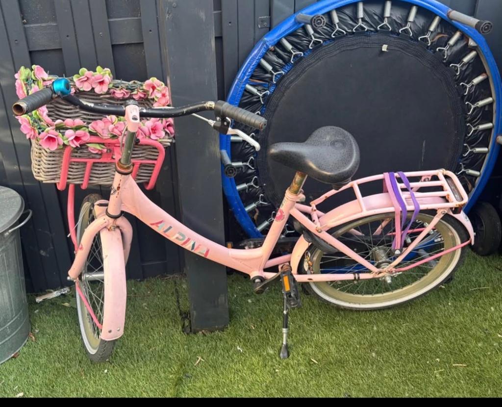 Roze meisjesfiets 20 inch met mandje en bloemen, Ophalen, Terugtraprem, Gebruikt, Handrem