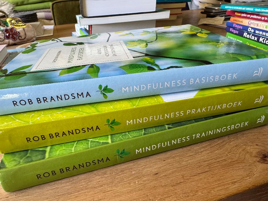 Mindfulness, Gelezen, Rob Brandsma, Alpha, HBO