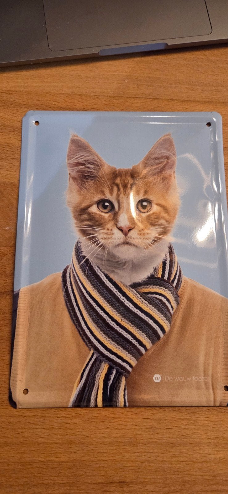 Metalen wandbordje met kat en sjaal, Ophalen of Verzenden, Zo goed als nieuw