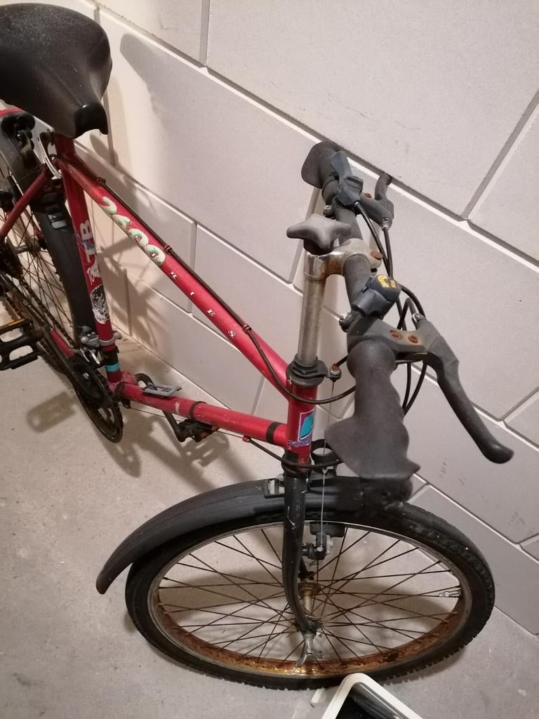 Fiets opknapper, Ophalen of Verzenden, Gebruikt, 80 kg of meer