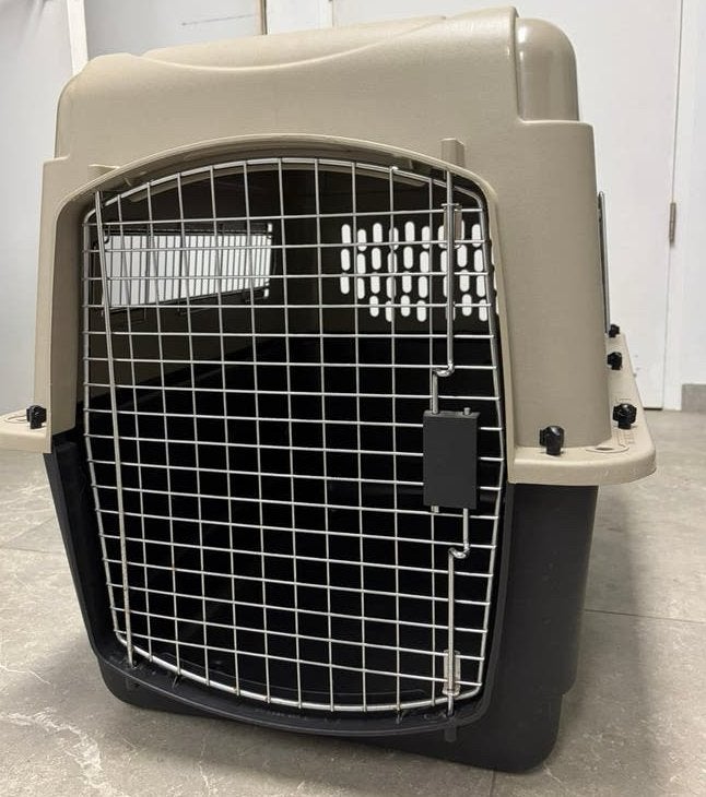 Petmate / grote vervoersbox transportbox dier, Dieren en Toebehoren, Ophalen, Zo goed als nieuw