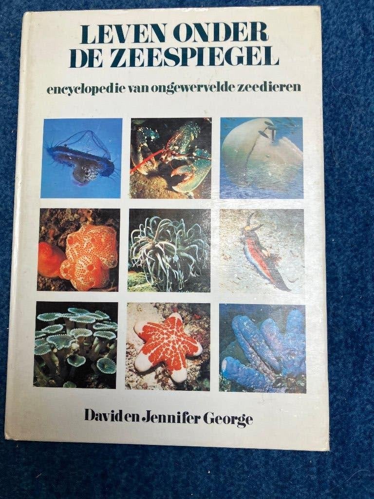 LEVEN ONDER DE WATERSPIEGEL, Ophalen of Verzenden, Gelezen, David en Jennifer George