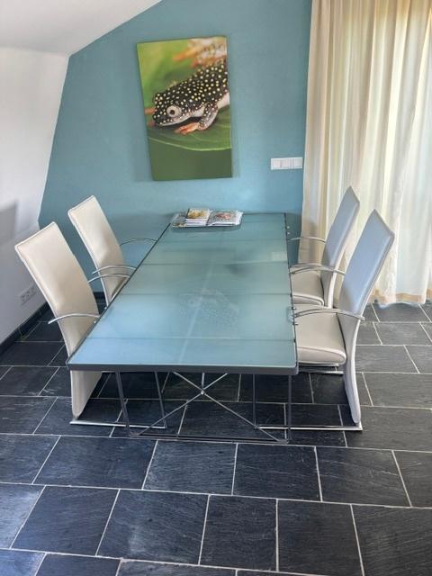 stoel, sledestoel, eettafelstoel, eettafel stoel, Ophalen, Gebruikt, Wit, Overige materialen