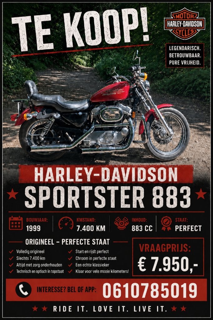 Harley davidson, Chopper, 883 cc, Particulier