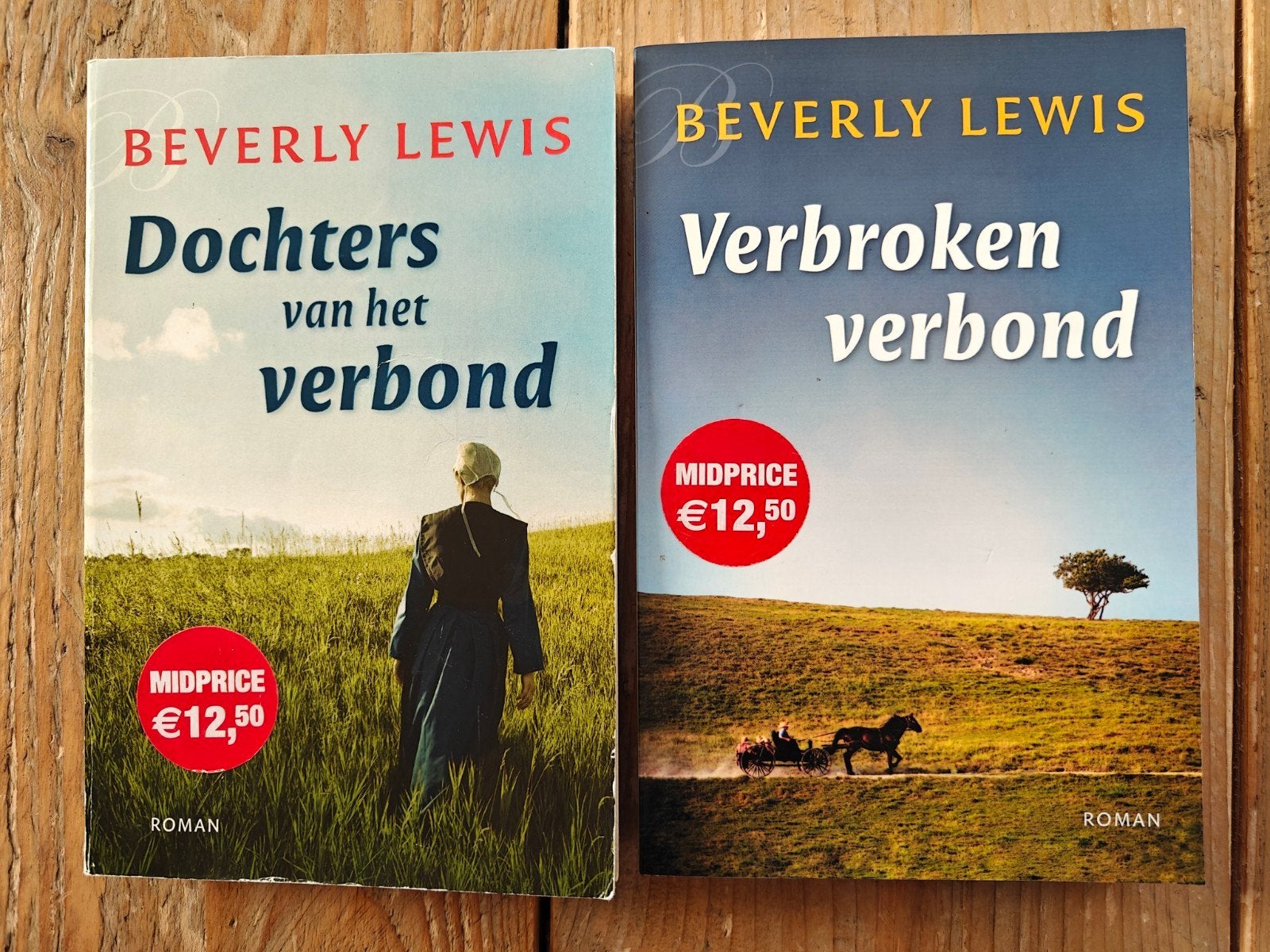 Deel 1 en 2 van de serie: Dochters van het verbond., Ophalen of Verzenden, Zo goed als nieuw
