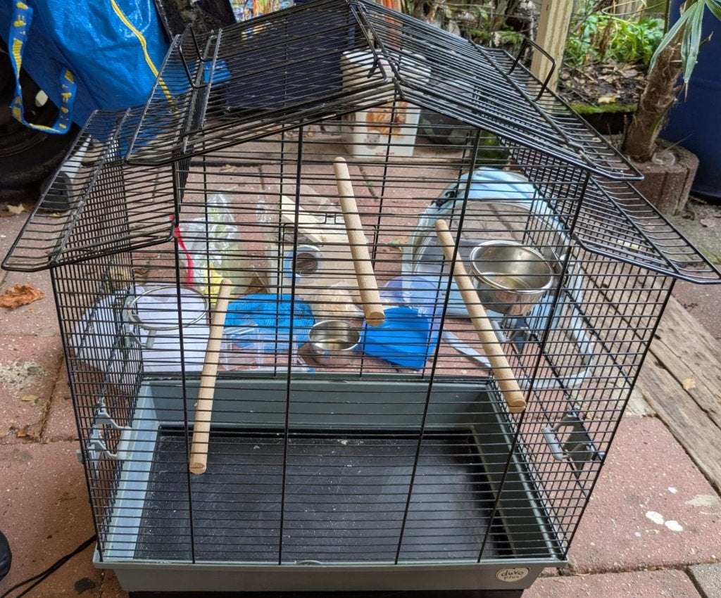 Stevige vogelkooi compleet met meer spullen erbij, Dieren en Toebehoren, Ophalen, Zo goed als nieuw, Metaal, Vogelkooi