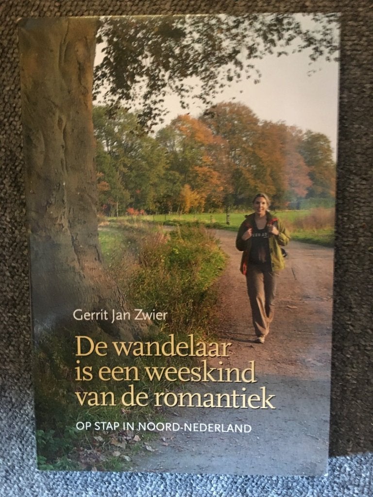 De wandelaar is het weeskind vd romantiek; Gert jan Zwiers, Gert Jan Zwiers, Ophalen of Verzenden, Zo goed als nieuw, Overige onderwerpen