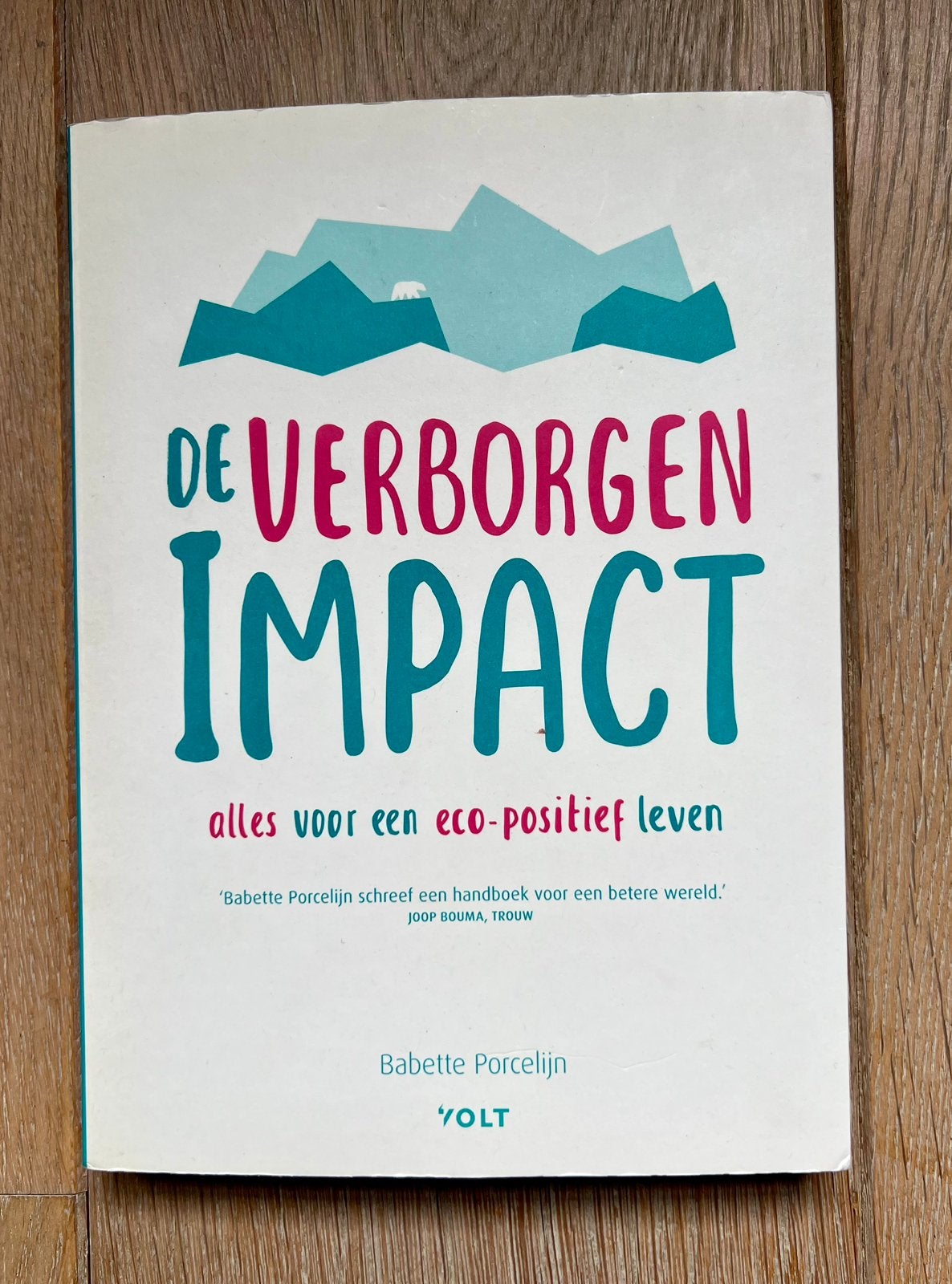 DE VERBORGEN IMPACT - Babette Porcelein, Ophalen of Verzenden, Zo goed als nieuw, Natuurwetenschap