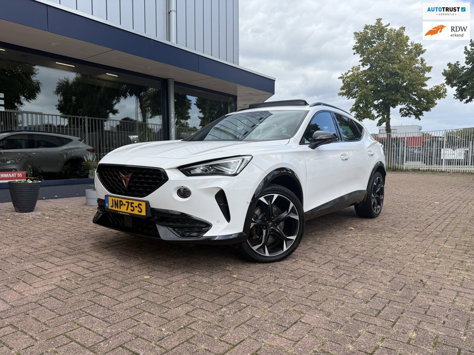 Cupra FORMENTOR 2.0 TSI 4DRIVE | Pano | Virtual | Carplay, Auto's, 4 cilinders, Leder en Stof, Wit, Vierwielaandrijving